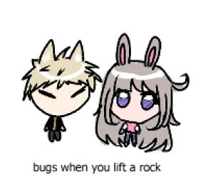 bugs when you lift a rock
